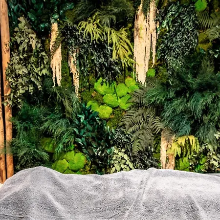 Le Diamond Rock Тинь